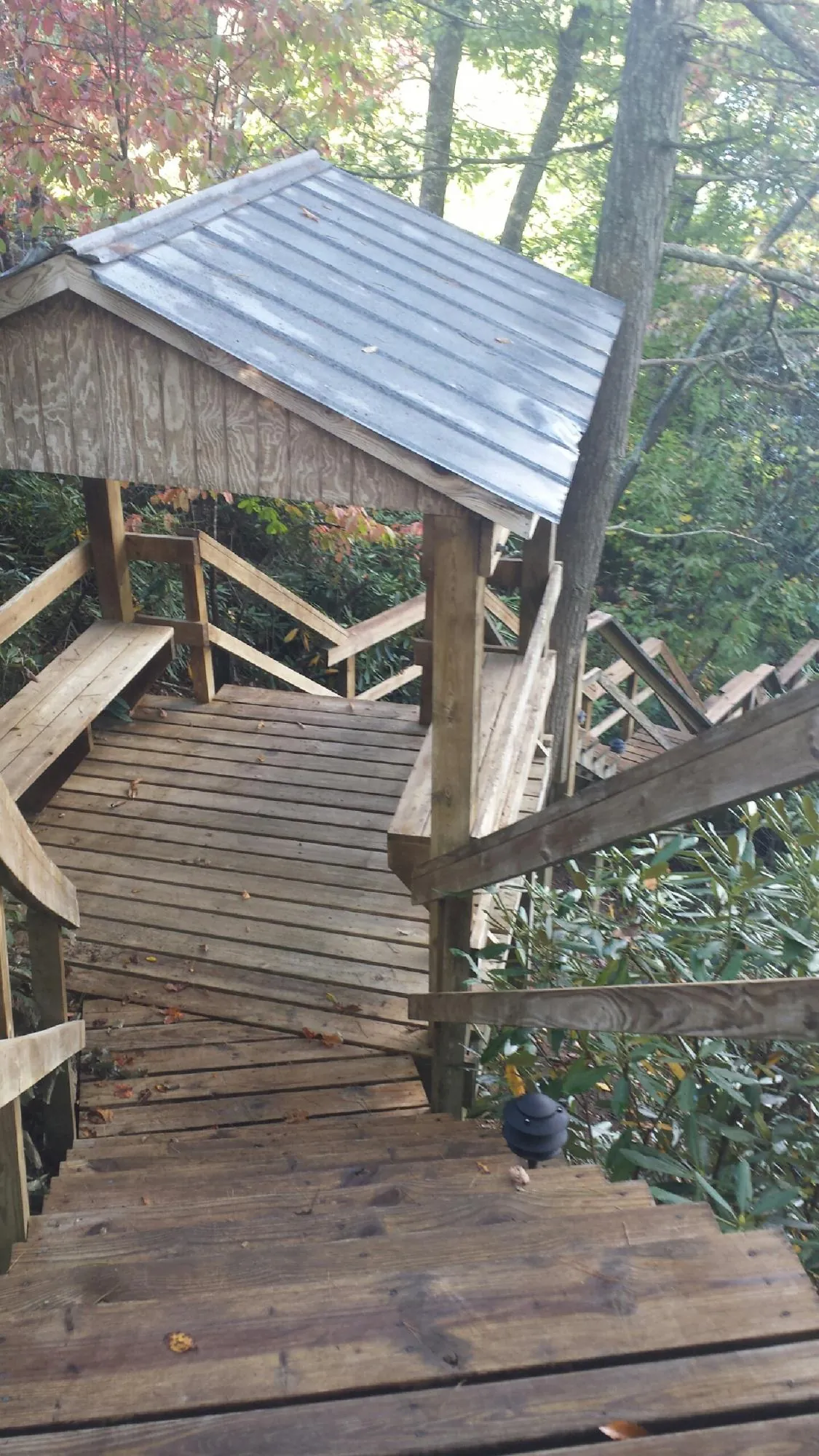 Metal roofed shelter over wooden steps on a wooded walkway — Skylight Repair & Installation work by our crew in Reinbeck
